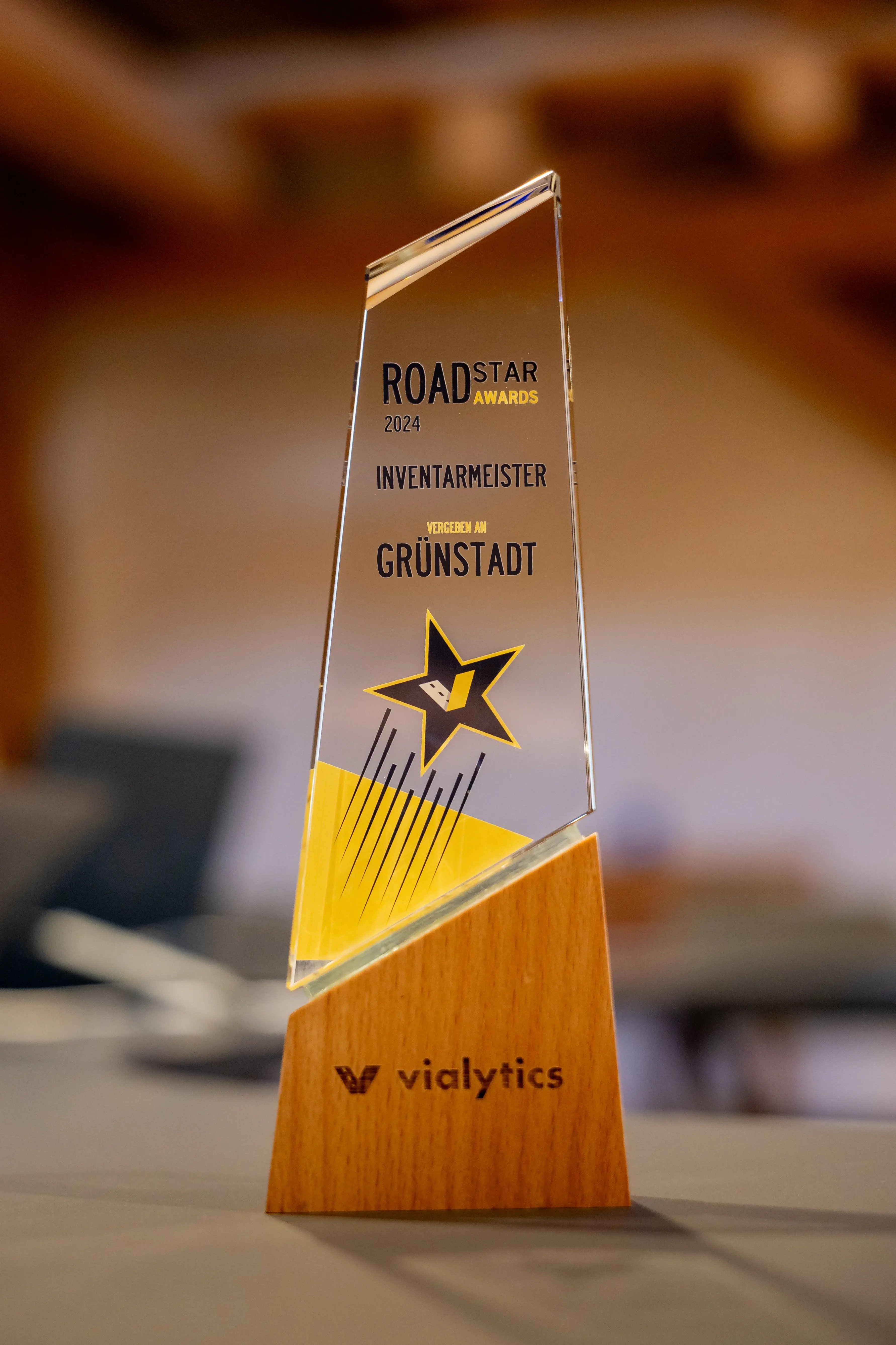 vialytics-RoadStar-Award-Grünstadt Kopie